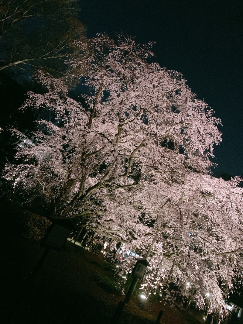 Yoshimikanさんのカプセル&サウナ ロスコのサ活写真