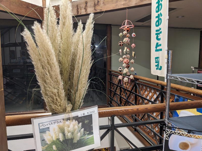 だんなっつるさんの湯の国会館のサ活写真