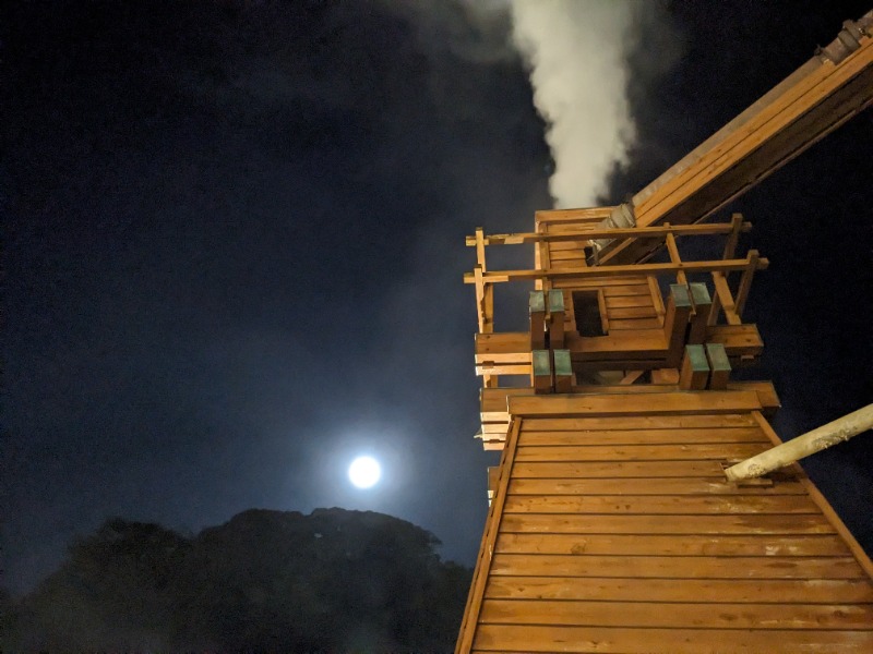 だんなっつるさんの下賀茂温泉 銀の湯会館のサ活写真