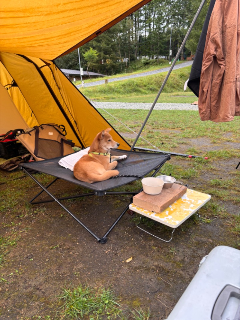 tonappy🦌さんの湯屋サーモンのサ活写真