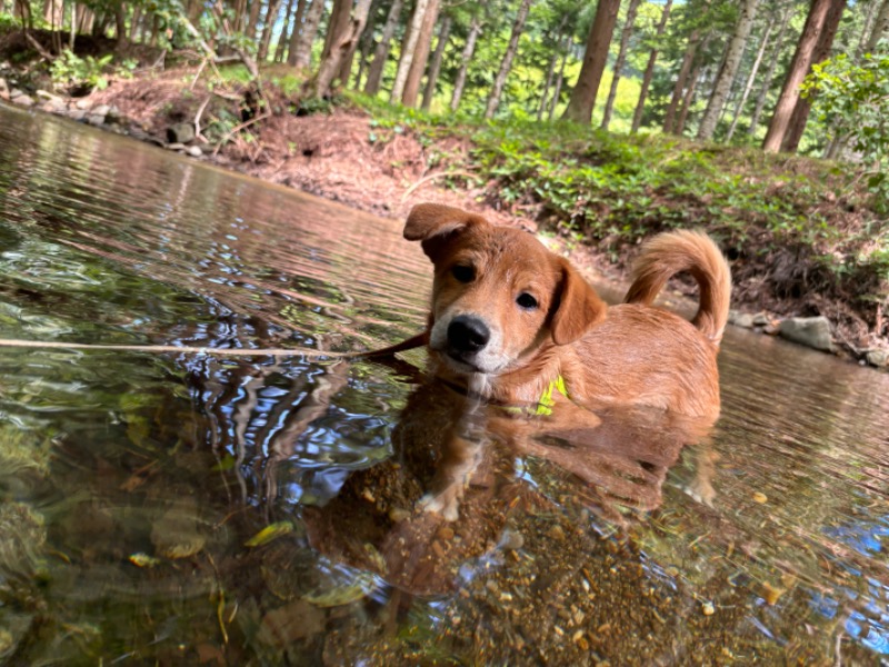 tonappy🦌さんのふれあい湯遊館のサ活写真