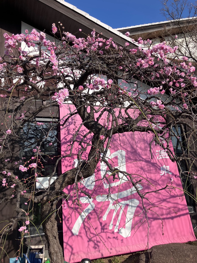 ハルさんの天然温泉 真名井の湯 大井店のサ活写真