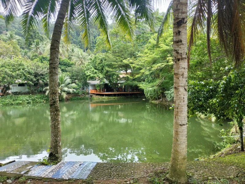 Machardさんのカトゥ・ハーブサウナ(Kathu Herb sauna)のサ活写真