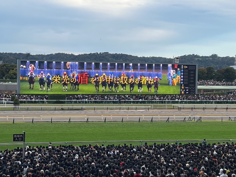 くいしん坊萬斎さんの千年温泉のサ活写真