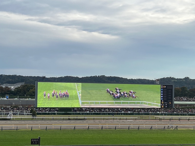 くいしん坊萬斎さんの千年温泉のサ活写真