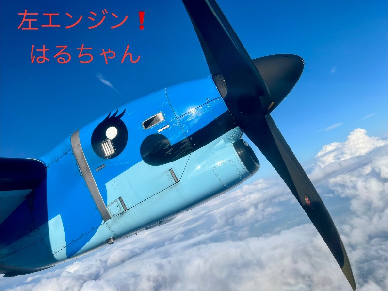 くいしん坊萬斎さんのアマクササンタカミングホテルのサ活写真