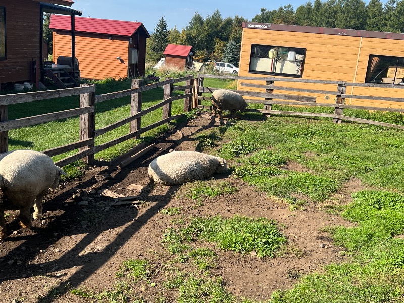 くいしん坊萬斎さんの吹上温泉保養センター 白銀荘のサ活写真