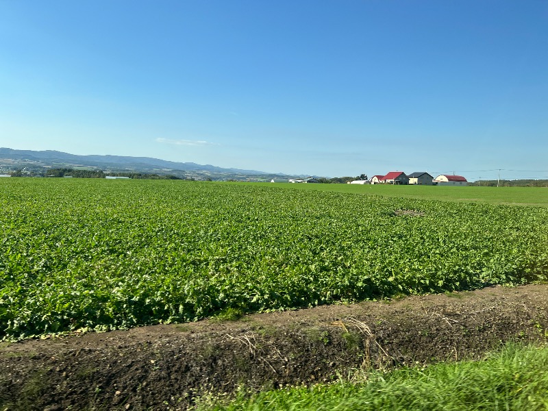 くいしん坊萬斎さんの吹上温泉保養センター 白銀荘のサ活写真