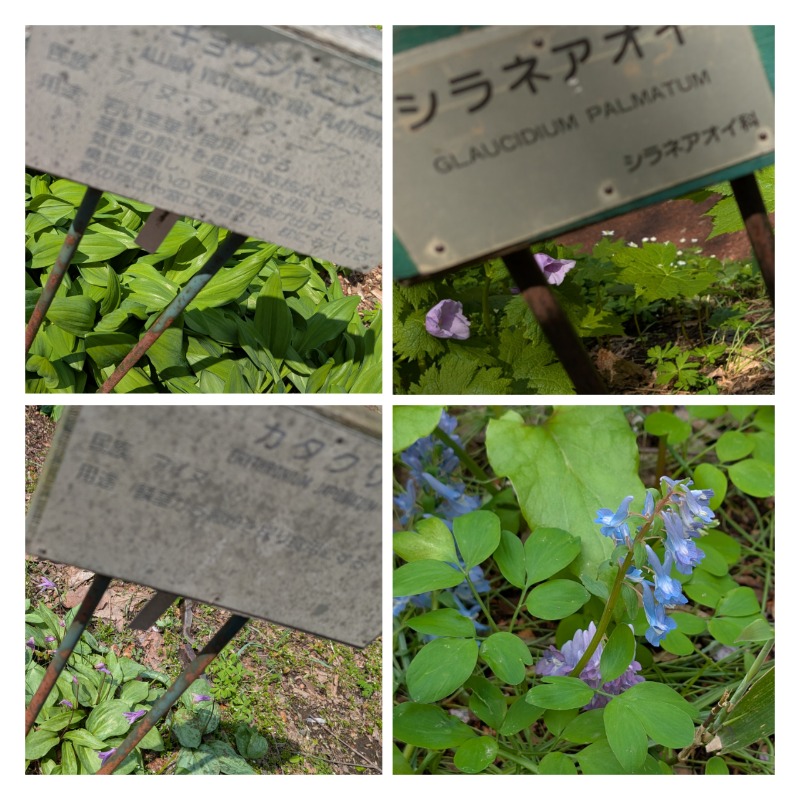 あっきーさんのリラクゼーション スパ・アルパのサ活写真