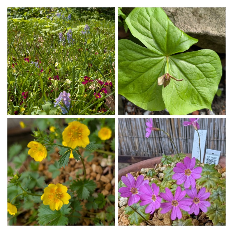 あっきーさんのリラクゼーション スパ・アルパのサ活写真