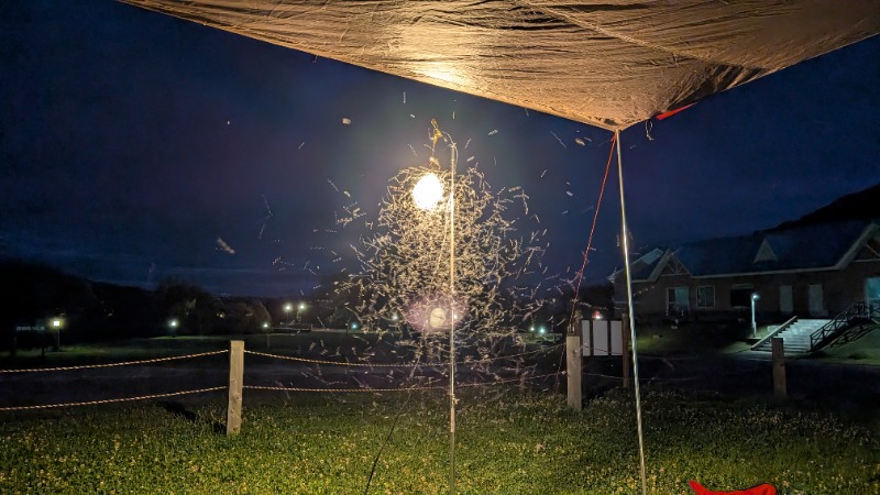 あっきーさんのうらかわ優駿ビレッジアエルのサ活写真