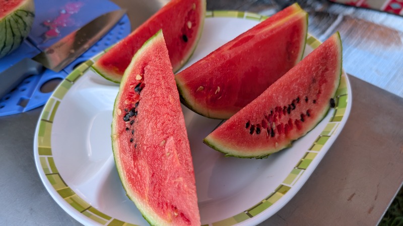 あっきーさんのうらかわ優駿ビレッジアエルのサ活写真