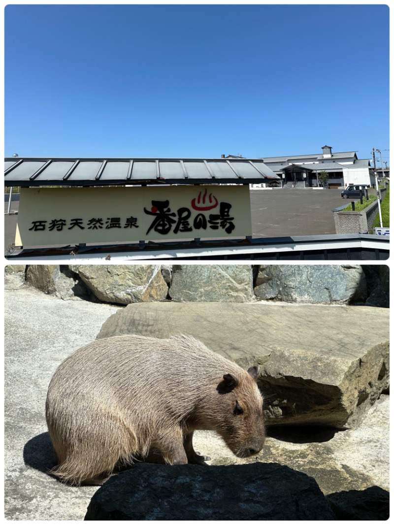 鍛高譚(たんたかたん)さんの石狩天然温泉 番屋の湯のサ活写真