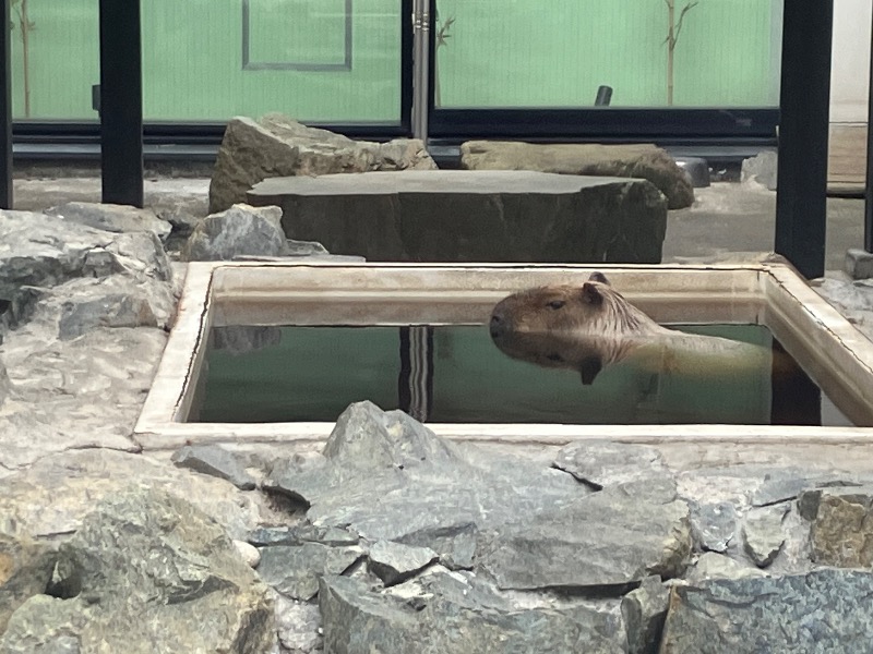 サライさんの石狩天然温泉 番屋の湯のサ活写真