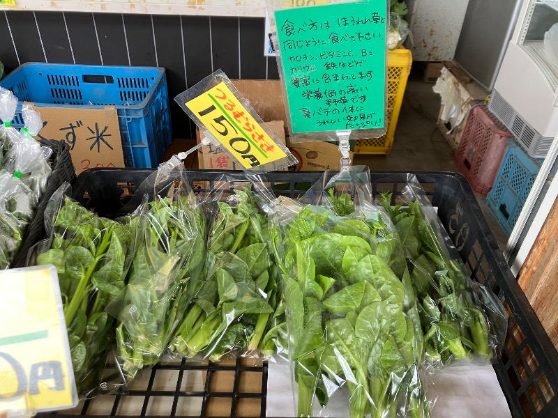 サライさんのなんぽろ温泉ハート&ハートのサ活写真