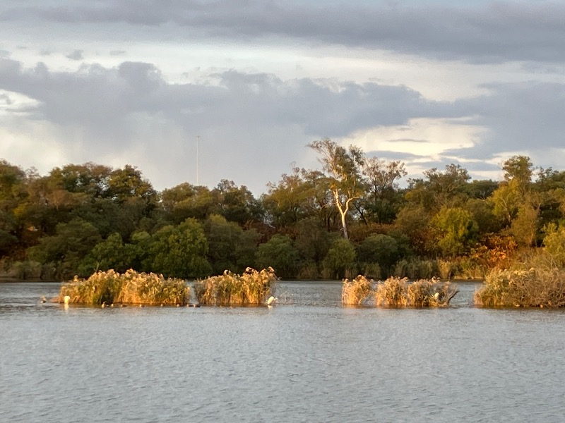 サライさんのなんぽろ温泉ハート&ハートのサ活写真