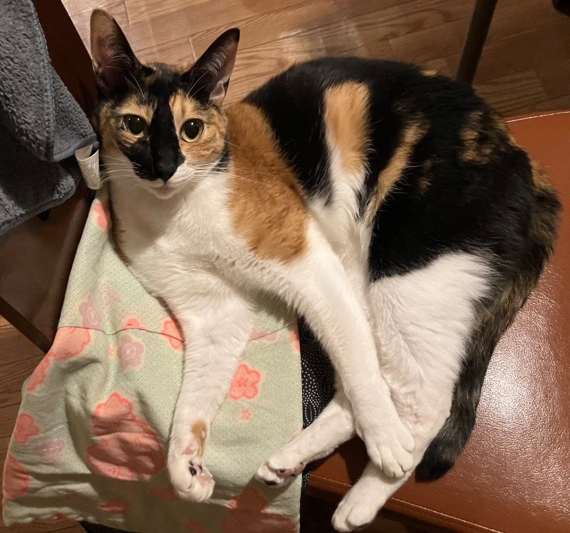 サライさんのなんぽろ温泉ハート&ハートのサ活写真