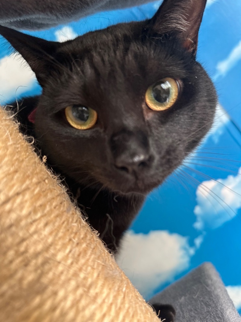 サライさんのなんぽろ温泉ハート&ハートのサ活写真