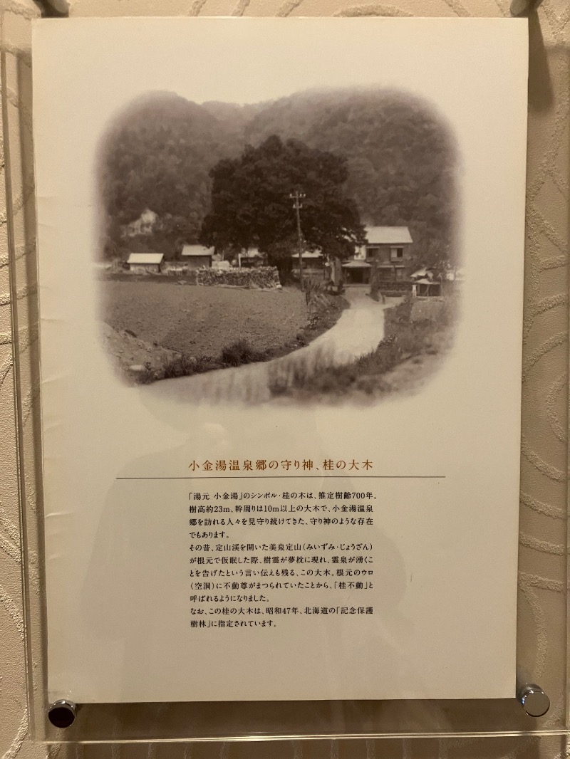 サライさんの小金湯温泉 湯元 小金湯のサ活写真