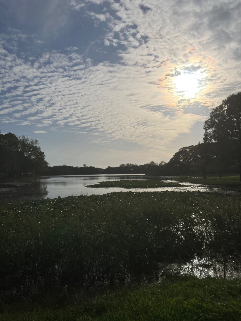 サライさんのこぶしの湯 あつまのサ活写真