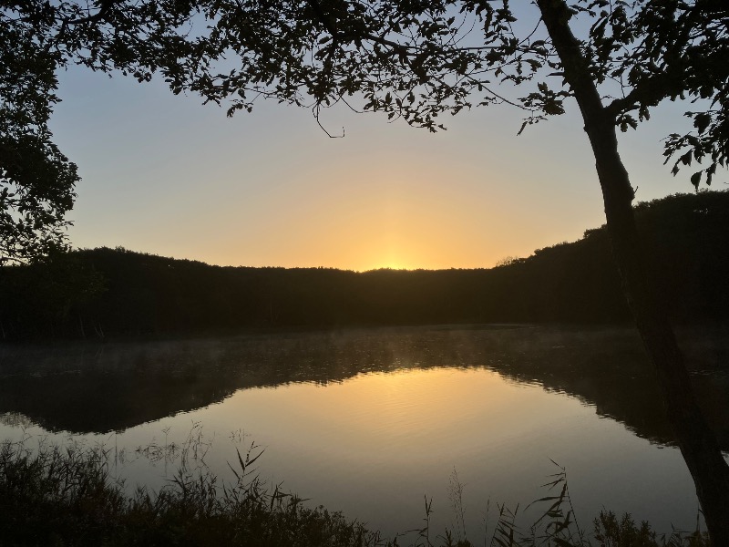 サライさんのこぶしの湯 あつまのサ活写真