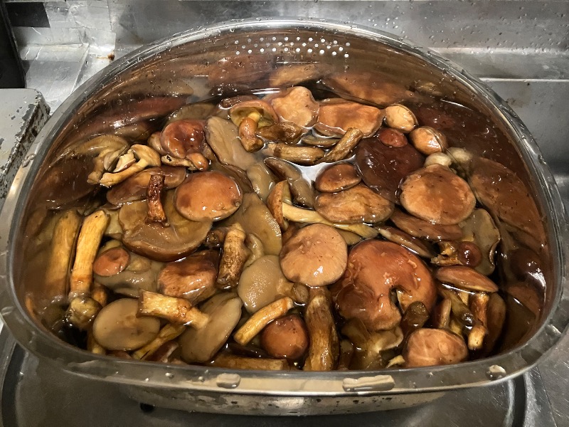 サライさんの鶴亀温泉のサ活写真