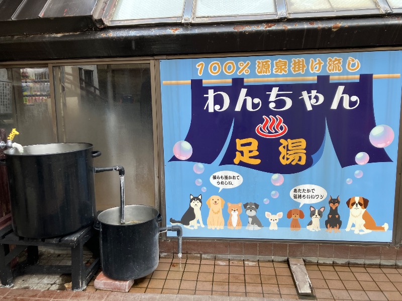 サライさんの北湯沢温泉郷 湯元ホロホロ山荘のサ活写真