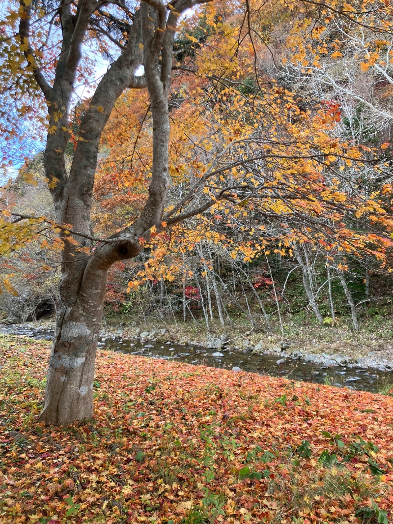 サライさんの北湯沢温泉郷 湯元ホロホロ山荘のサ活写真