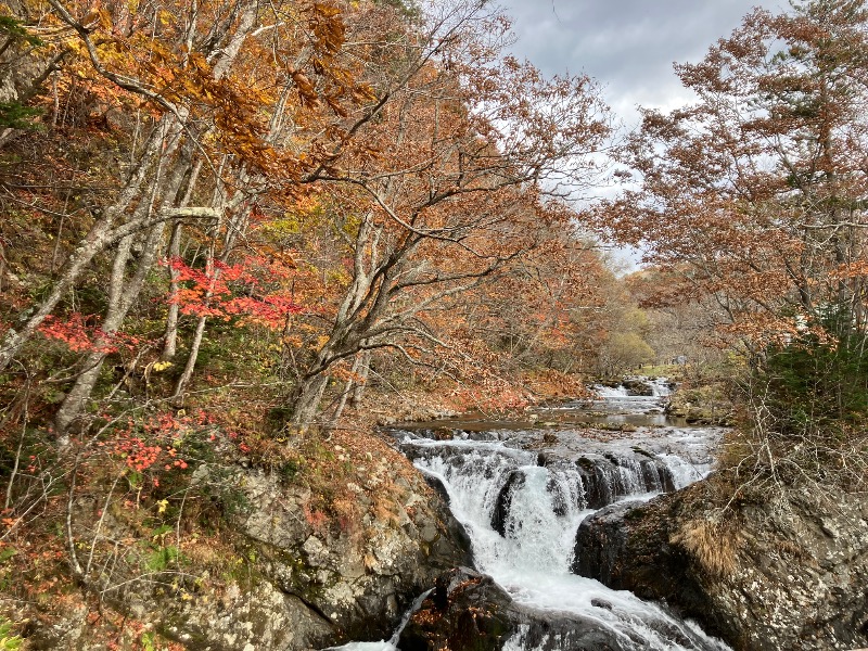 サライさんの北湯沢温泉郷 湯元ホロホロ山荘のサ活写真