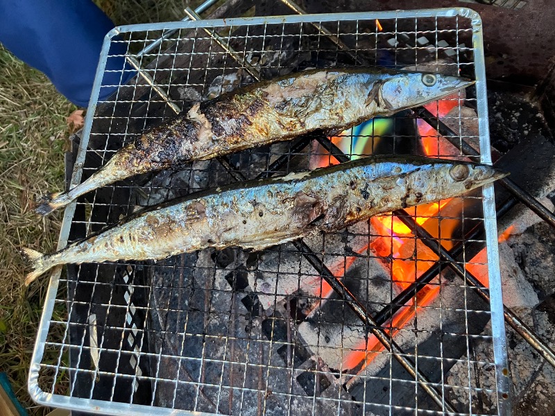 サライさんの北湯沢温泉郷 湯元ホロホロ山荘のサ活写真