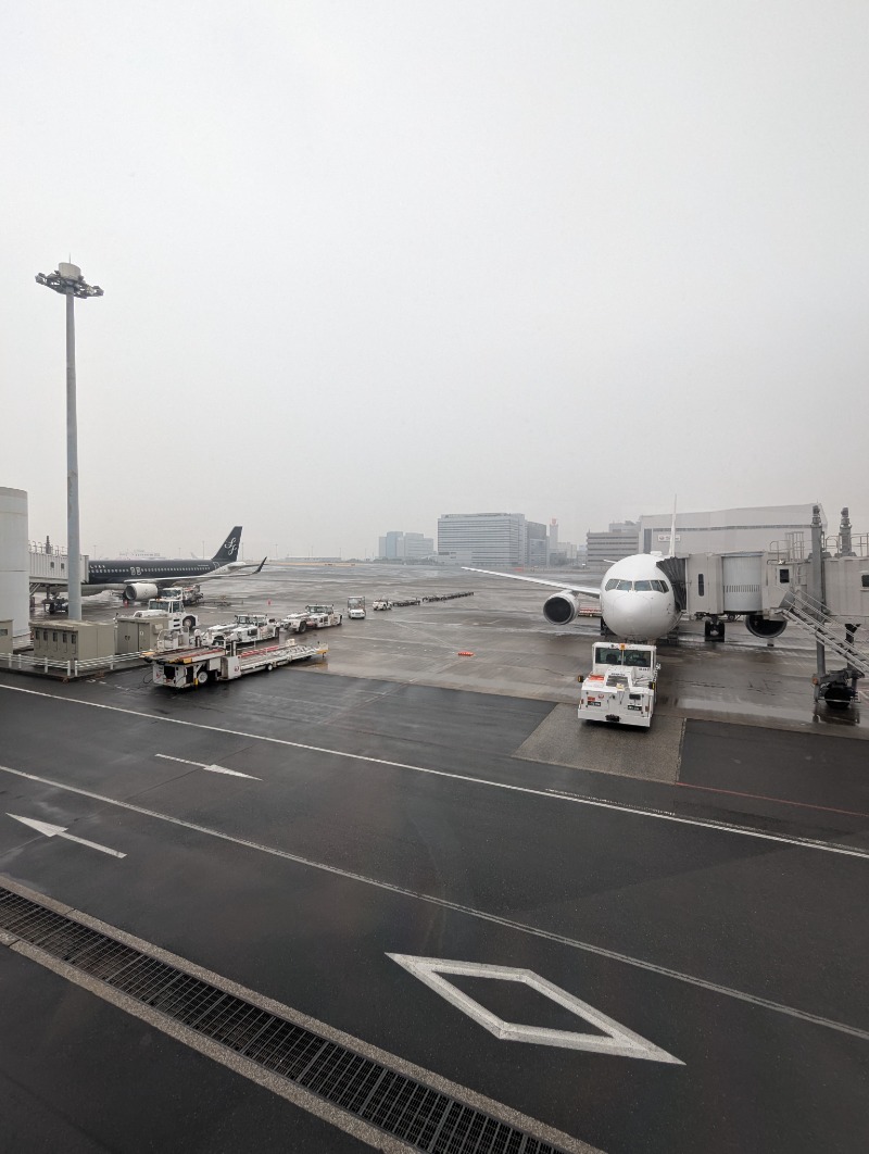 ごとうのおっさんさんのホテル カーナAのサ活写真