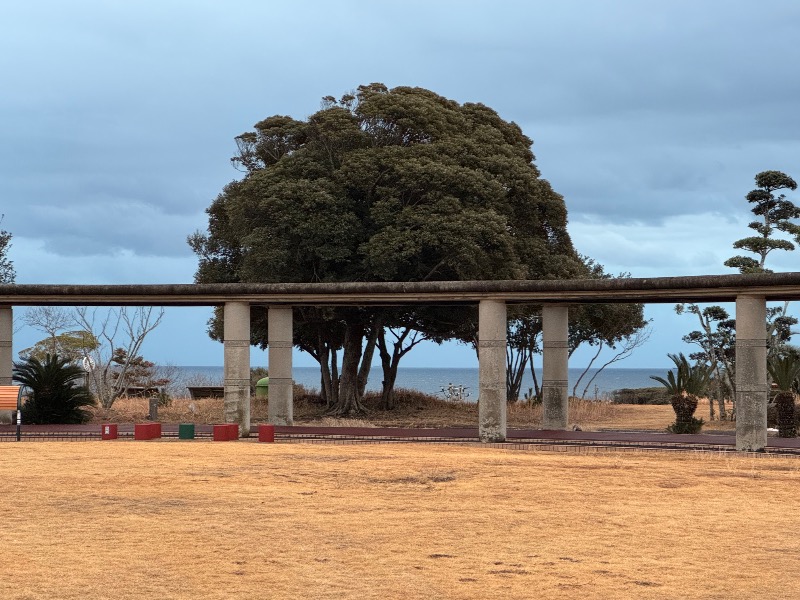 黒猫のうるるさんのとっぷ・さんて大洋のサ活写真