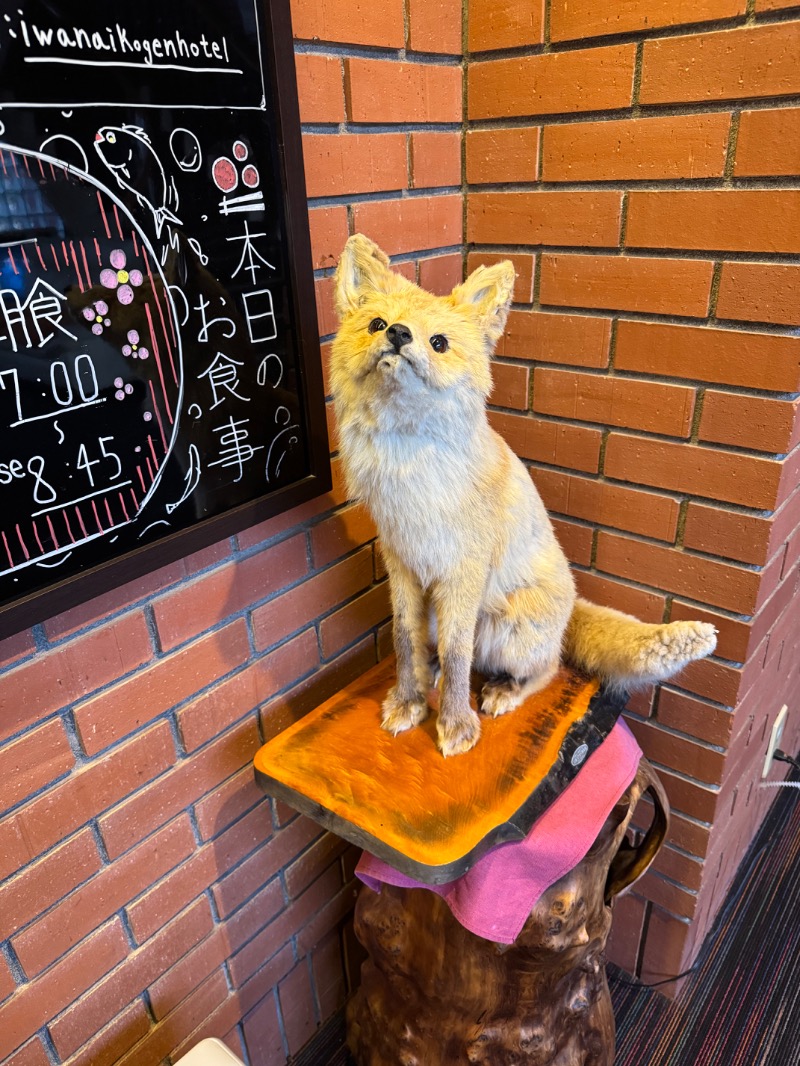 黒猫のうるるさんのいわない高原ホテルのサ活写真