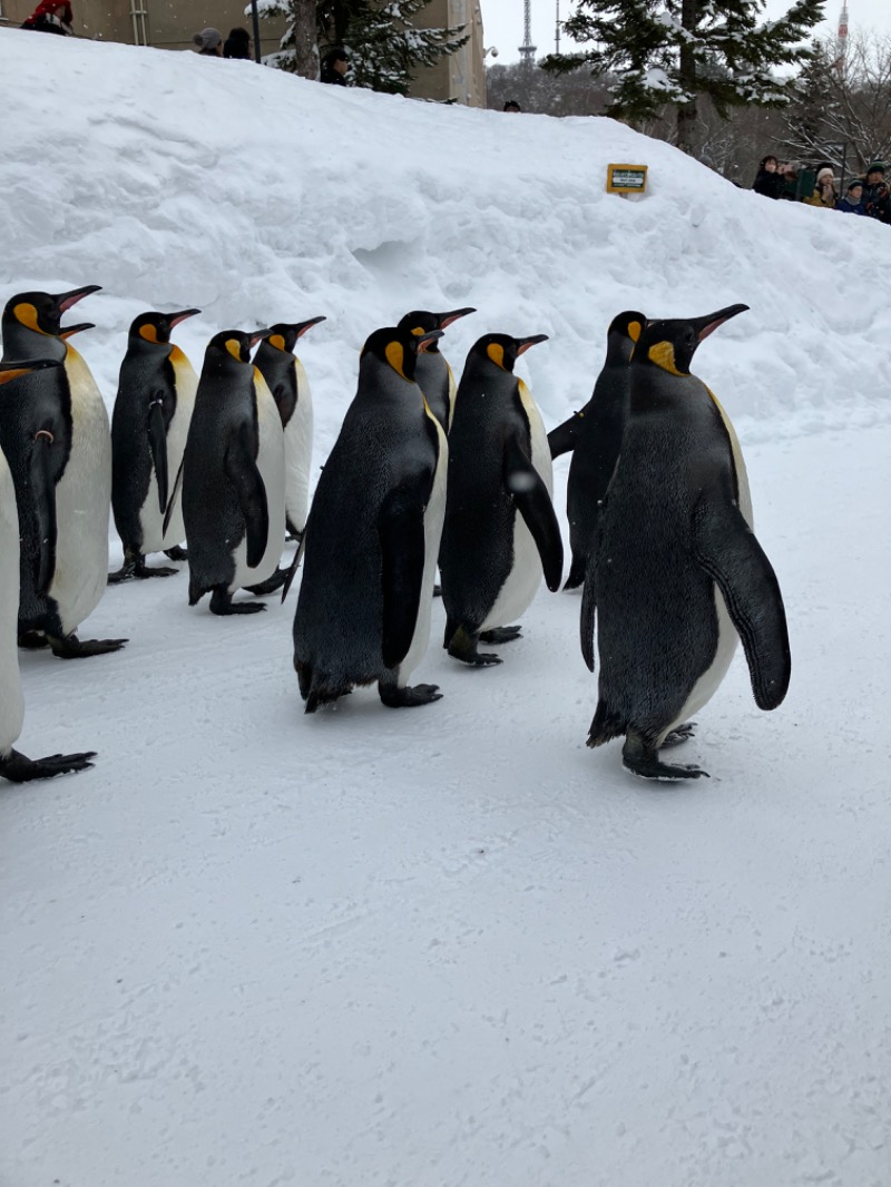 そっそそー（ととのいペンギン）さんの神威の湯 ドーミーイン旭川のサ活写真