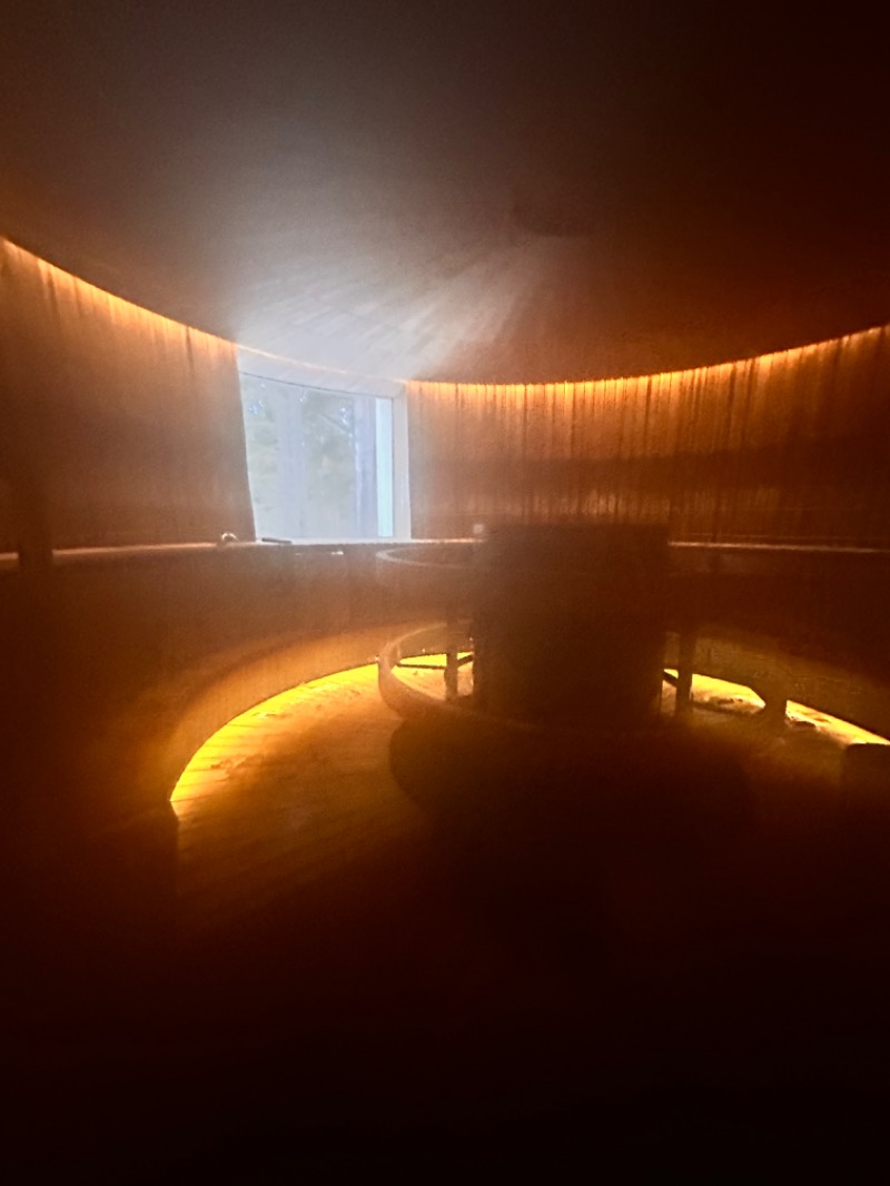 Ma Saanaさんのart sauna at serlachius museum at göstäのサ活写真