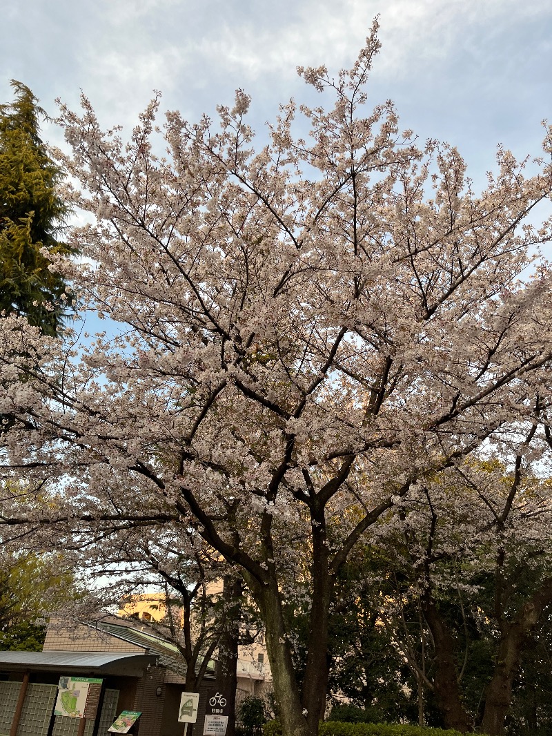 ナカネンさんの一の湯のサ活写真