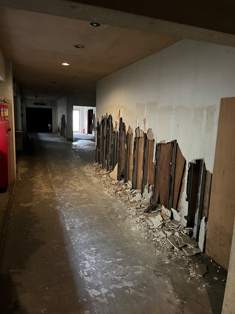 ナカネンさんの御船山楽園ホテル  らかんの湯のサ活写真