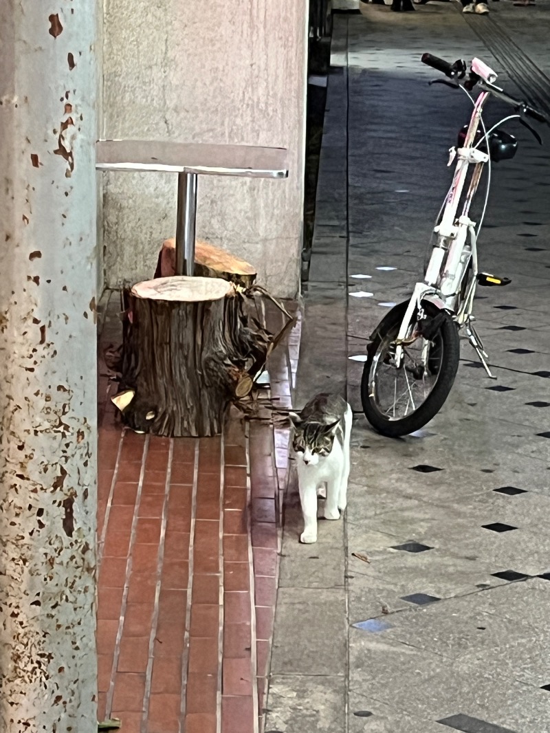 ナカネンさんのニノサのサ活写真