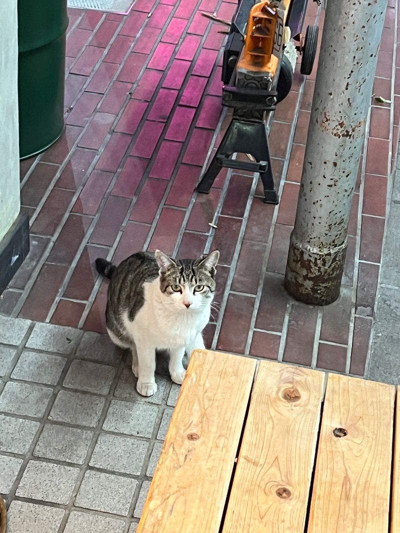 ナカネンさんのニノサのサ活写真