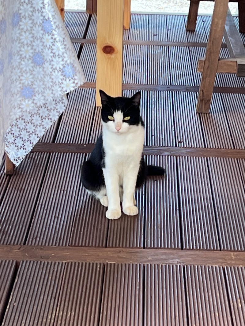 ナカネンさんのASP SAUNAのサ活写真