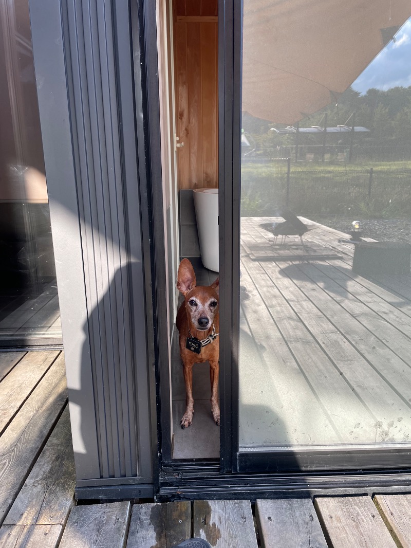 ダッフィーさんのサウナグランピングキャビン(エンゼルフォレスト白河高原のサ活写真