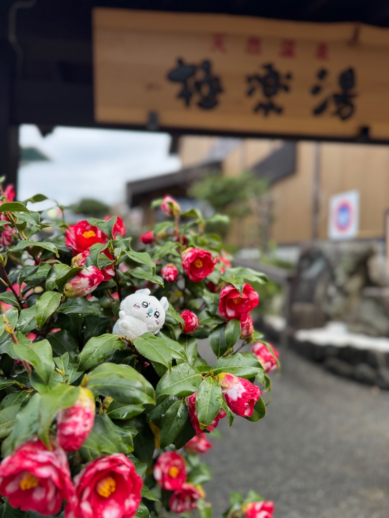 あらい🐈‍⬛さんの極楽湯 多摩センター店のサ活写真