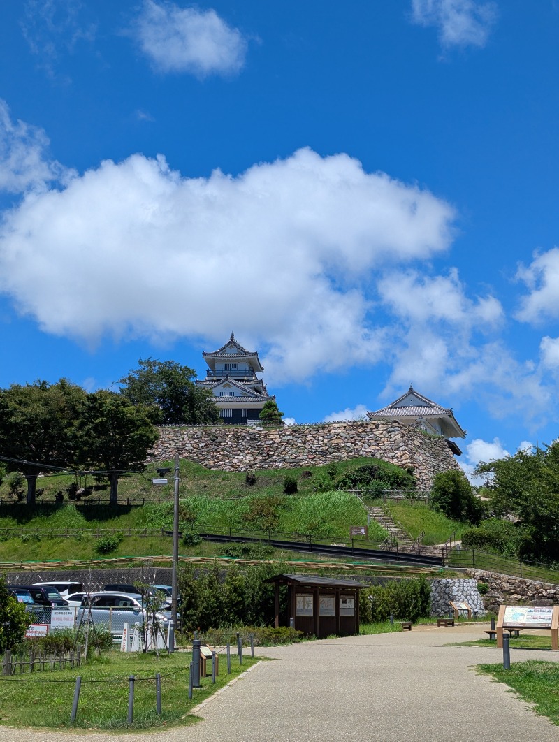 ごとうのおっさんさんのビラックス高薗のサ活写真