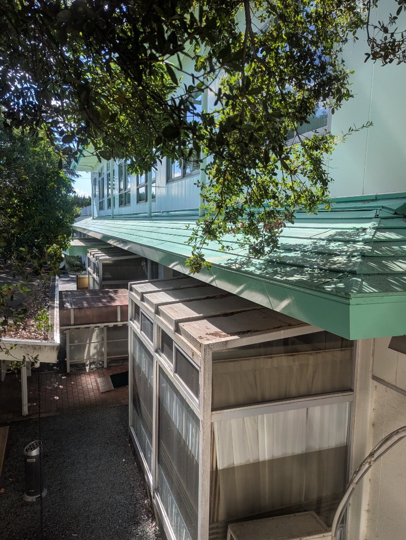 ごとうのおっさんさんのビラックス高薗のサ活写真