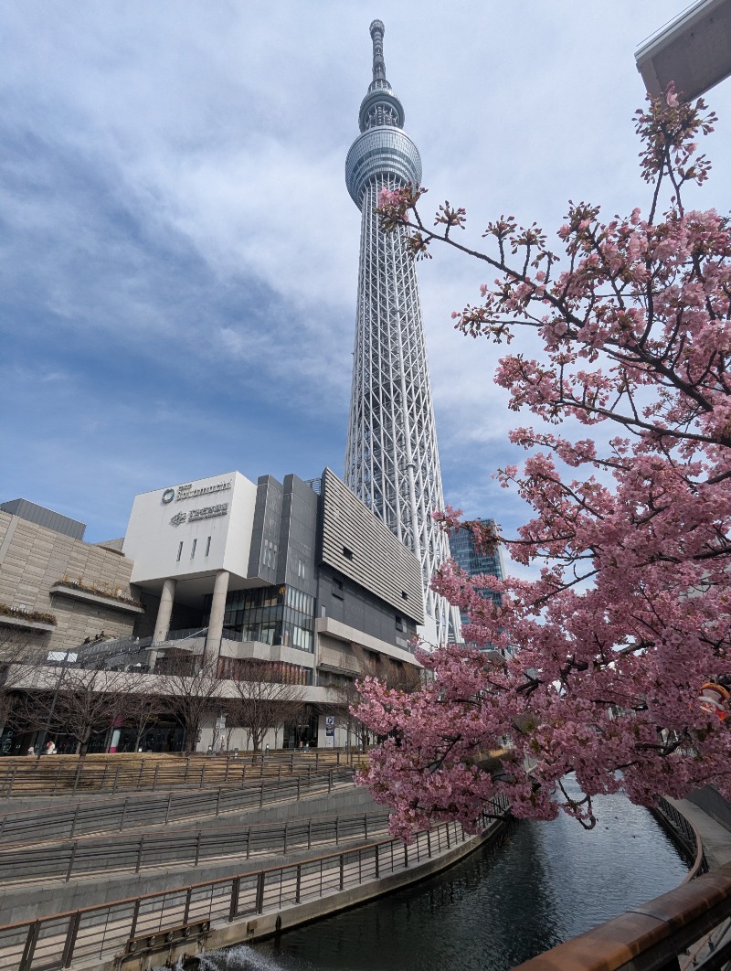 ごとうのおっさんさんの電気湯のサ活写真