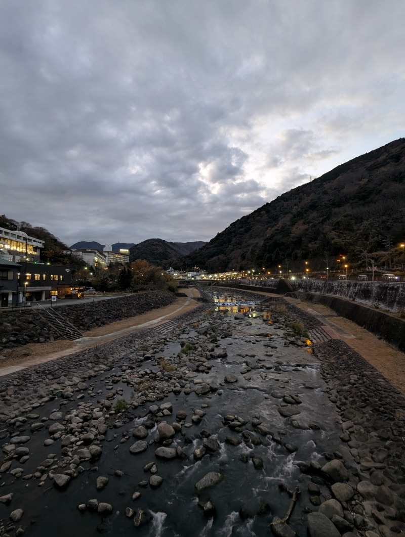 ごとうのおっさんさんの野田の湯のサ活写真