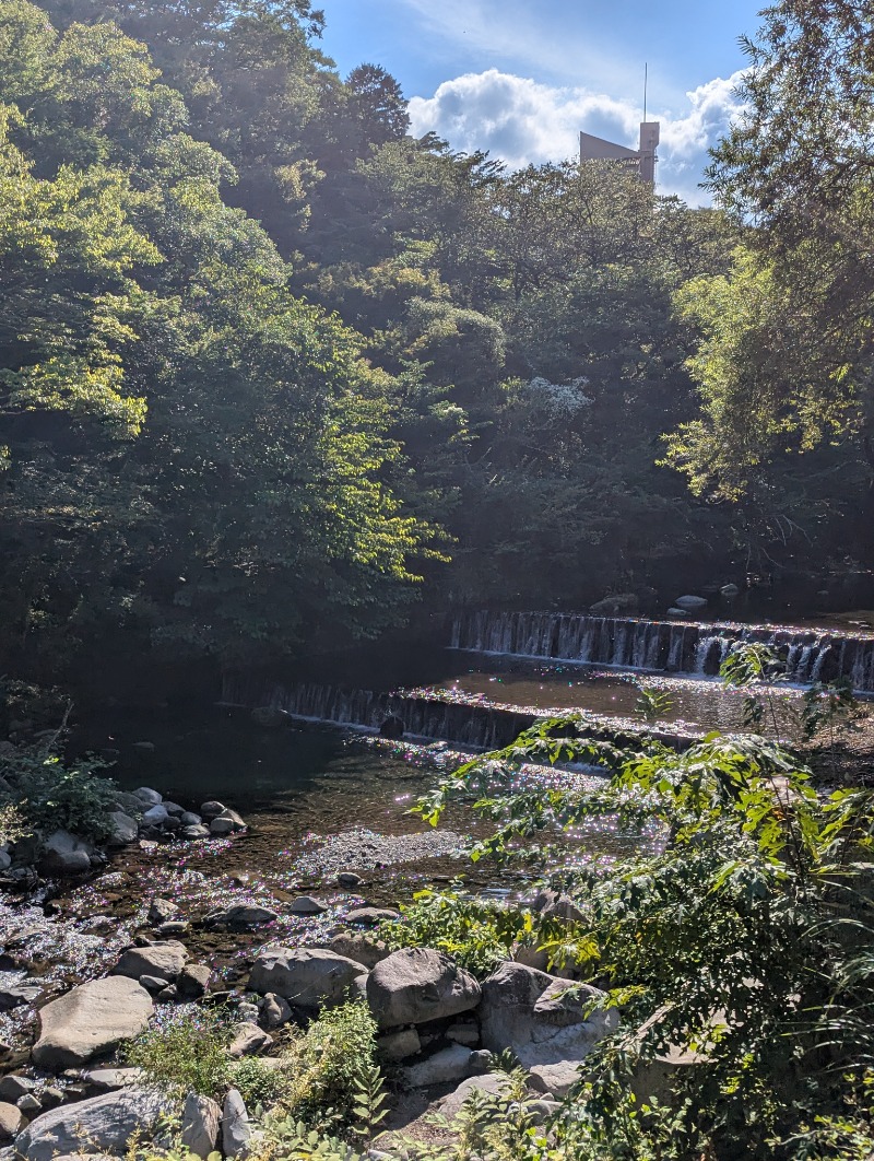 ごとうのおっさんさんの天山湯治郷 ひがな湯治 天山のサ活写真