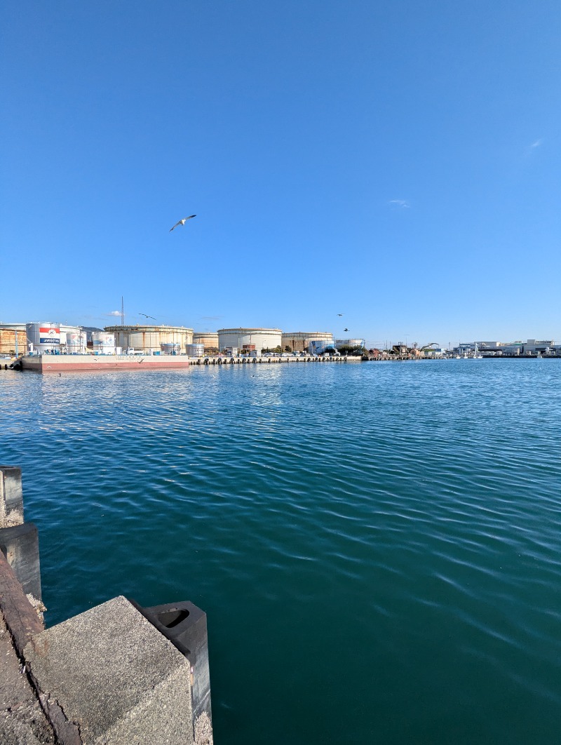 ごとうのおっさんさんの駿河健康ランドのサ活写真