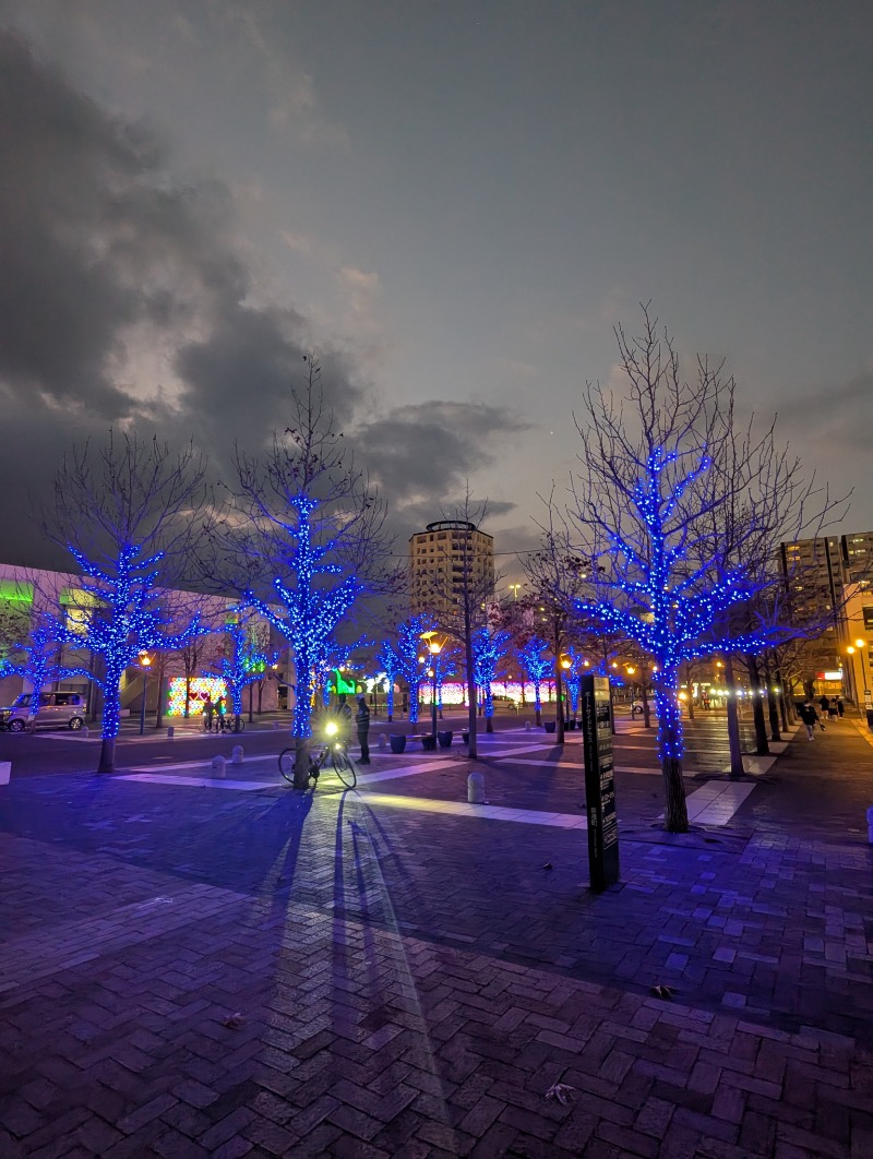 ごとうのおっさんさんのカプセルホテルサウナサンのサ活写真