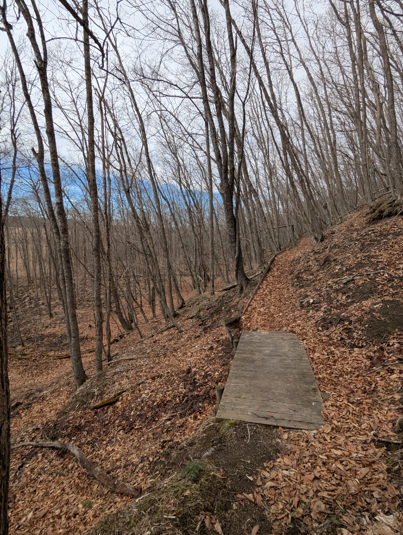 ごとうのおっさんさんの丹頂湯のサ活写真